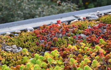 the cost of Bamfurlong green roof installation