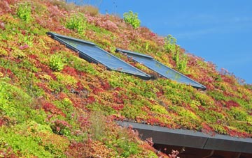 Bamfurlong living roof systems
